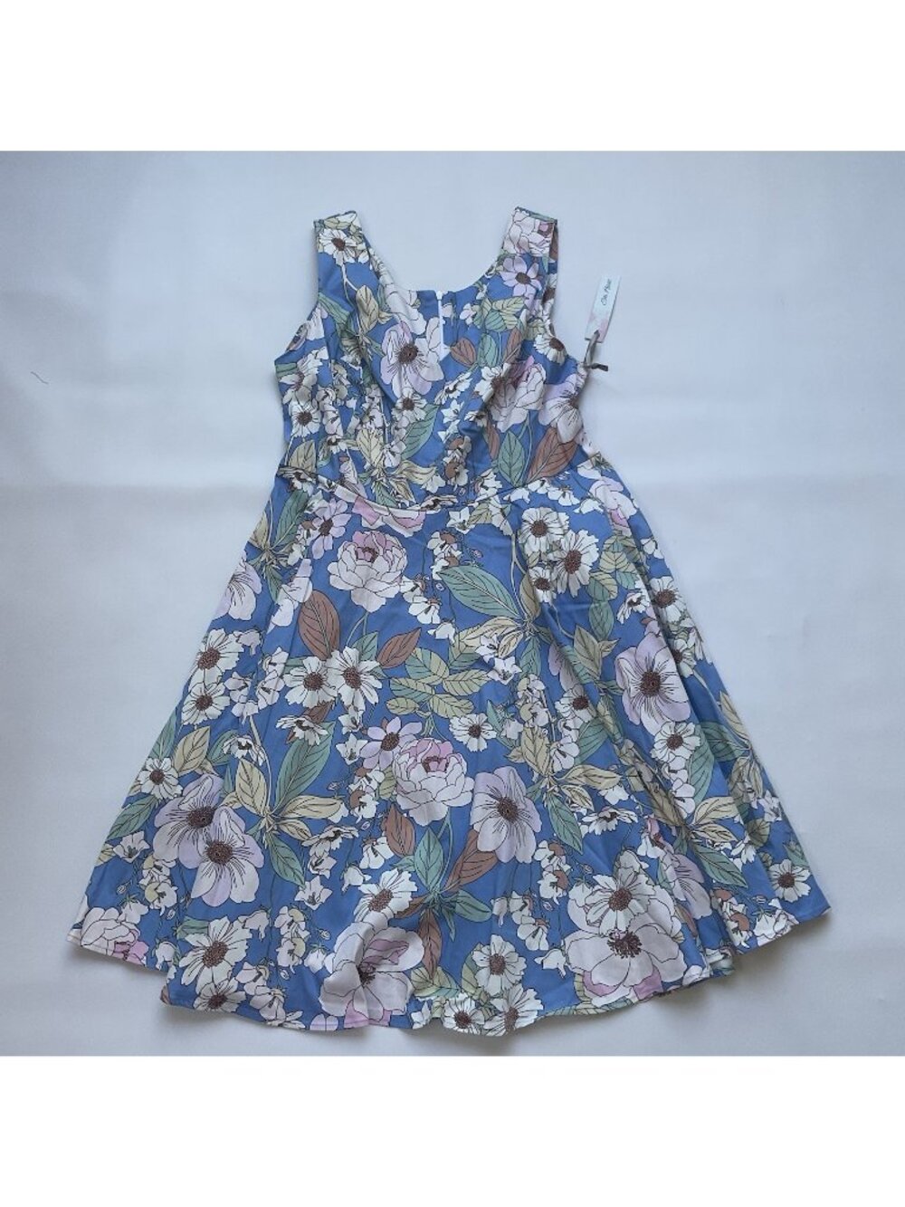 Eva Rose Women’s V-neck Retro Vintage Light Blue Flora Dress Sleeveless Size 2XL